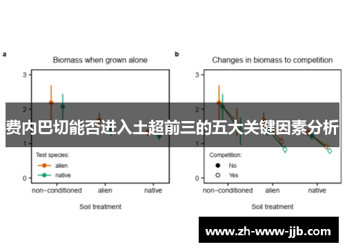 费内巴切能否进入土超前三的五大关键因素分析
